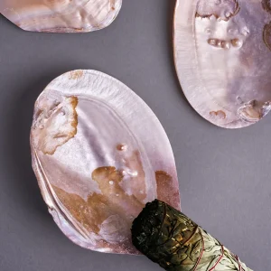 Mother of Pearl Pink Shell